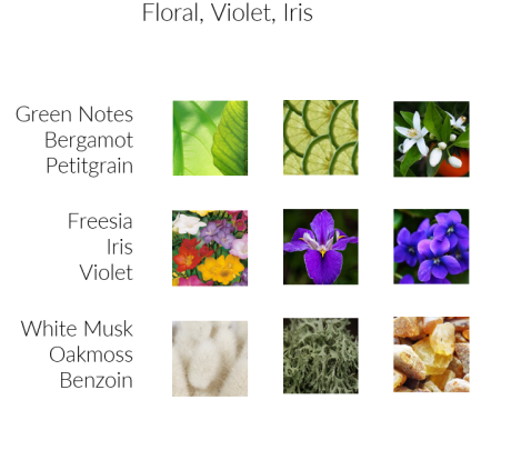 Deep Ocean - Premium Duftöl von INFINITUM-edle Geranie vereint mit der Frische von grünen Noten, Lemon, Jasmin und Iris