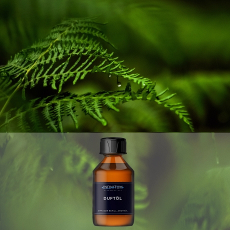 Deep Forest - Premium Duftöl Aromaöl von INFINITUM