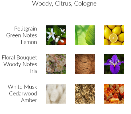 Mahagoni - Premium Duftöl Aromaöl von INFINITUM