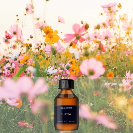 Sweet Summer - Premium Duftöl Aromaöl von INFINITUM