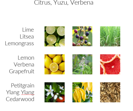 Yuzu Gras - Premium Duftöl Aromaöl von INFINITUM