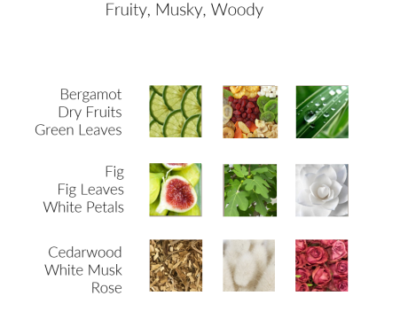 Fig Noir - Premium Duftöl Aromaöl von INFINITUM