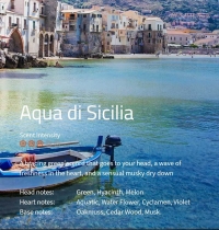 Aqua di Sicilia
Ein frischer, grüner Duft, der direkt in den Kopf steigt, unterlegt mit einer frischen Herznote.