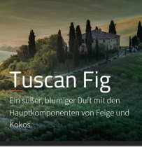 Tuscan Fig Aromaöl 200ml

Ein süßer, blumiger Duft mit Feige und Kokos, unterlegt von frischen, grünen Akkorden