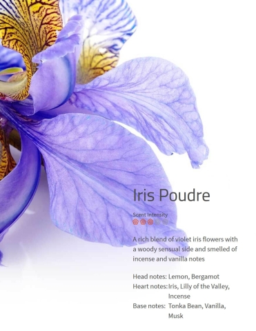 Iris Poudre  Ambiance Aroma 200 ml