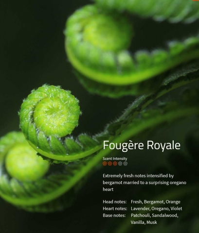 Fougere Royale Aromaöl 200ml
Extrem frischer Duft, der durch Bergamotte und Oregano in der Herznote noch verstärkt wird.