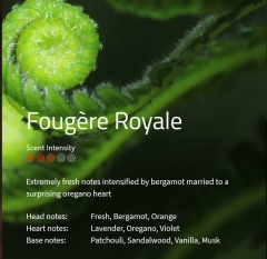 Fougere Royale Duftmarketing Aromaöl 200 ml