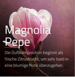 Magnolia Pepe *** Diese Komposition eröffnet mit frischer Zitrusnote der Bergamotte und kündigt ein blumiges Herz an.

