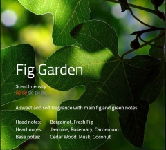 Fig Garden Aromaöl 200ml
Ein leichter, blumiger Duft aus Feige und grüner Note sowie einer erfrischenden Herznote. 