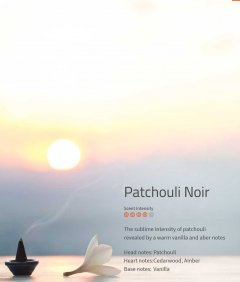 Patchouli Noir ****

Die Intensität von Patschuli wird durch eine warme Vanillenote eröffnet.