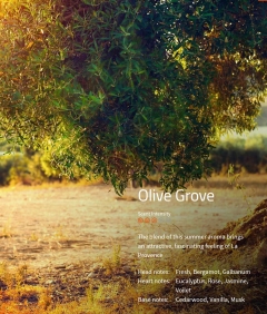 Olive Grove Aromaöl 200ml
Der Duft des Sommers in der Provence.