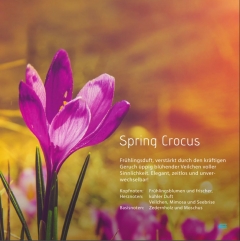 Spring Crocus *** Der vollmundige Veilchenduft inmitten einer Waldlichtung. "Frühling"